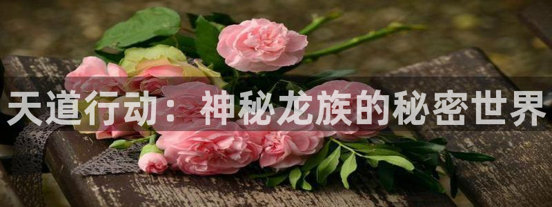 赢咖娱乐app下载：天道行动：神秘龙族的秘密世界