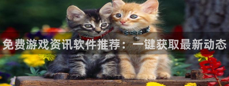 赢咖娱乐网址官网：免费游戏资讯软件推荐：一键获取最新动态
