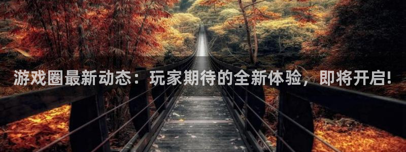 赢咖娱乐什么意思：游戏圈最新动态：玩家期待的全新体验，即将开