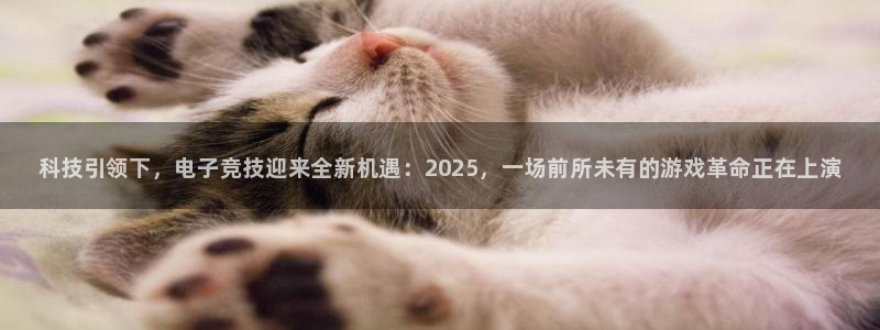 赢咖娱乐平台官网注册：科技引领下，电子竞技迎来全新机遇：20