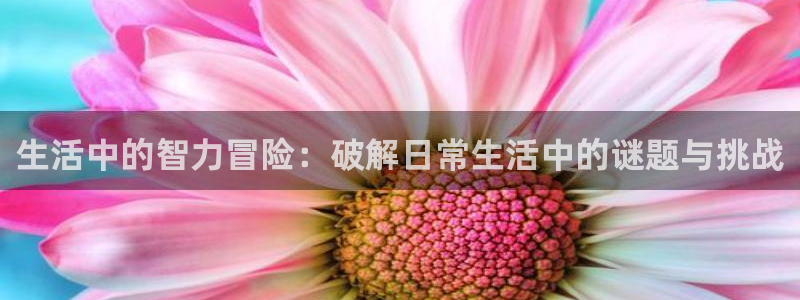 赢咖娱乐手机网页版登录：生活中的智力冒险：破解日常生活中的谜