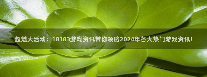 赢咖娱乐直属：超燃大活动：18183游戏资讯带你领略2024
