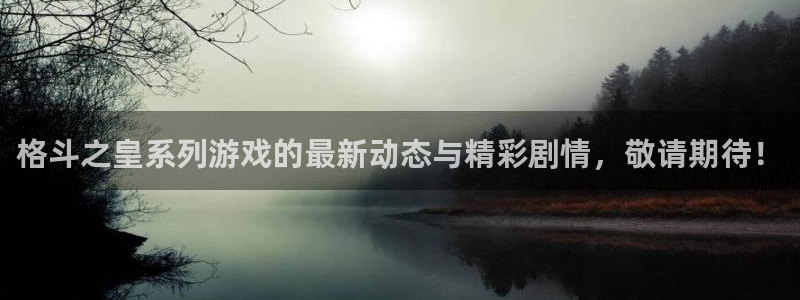 赢咖娱乐线路测试：格斗之皇系列游戏的最新动态与精彩剧情，敬请