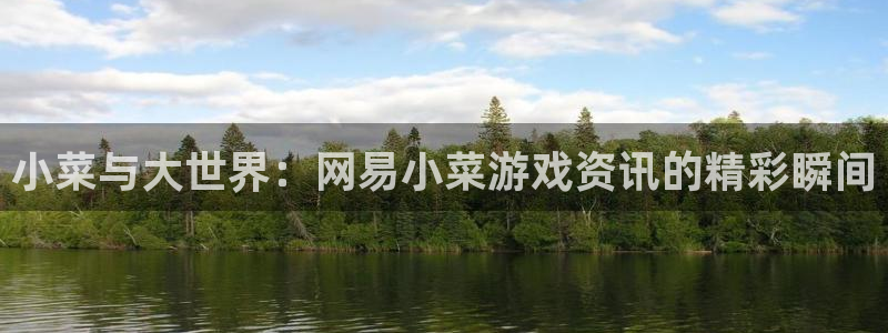 赢咖娱乐网页版地址：小菜与大世界：网易小菜游戏资讯的精彩瞬间