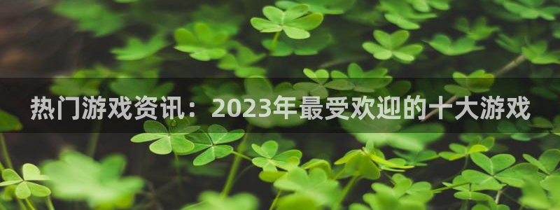 赢咖娱乐官网：热门游戏资讯：2023年最受欢迎的十大游戏