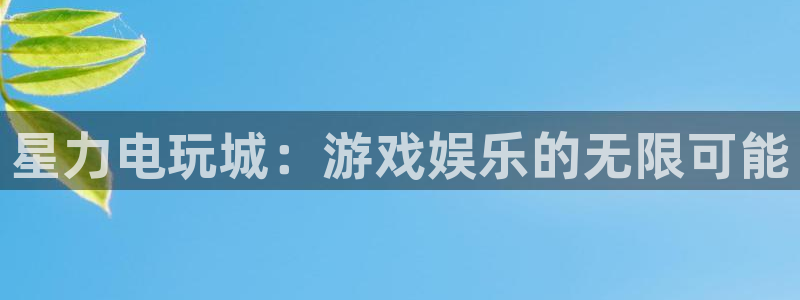 赢咖娱乐注册开户：星力电玩城：游戏娱乐的无限可能