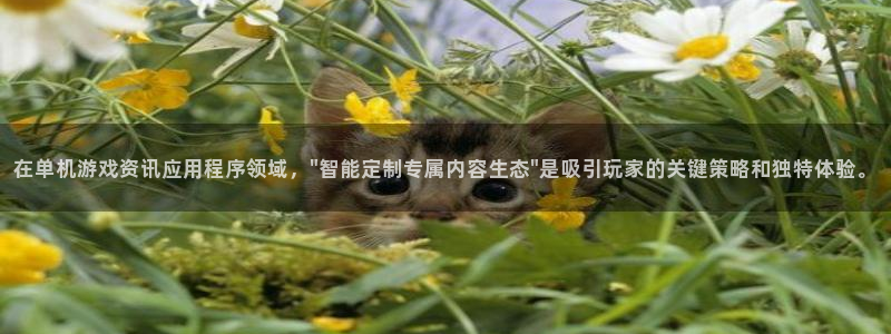 赢咖娱乐娱乐：在单机游戏资讯应用程序领域，\