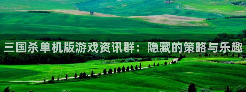 赢咖娱乐什么意思：三国杀单机版游戏资讯群：隐藏的策略与乐趣