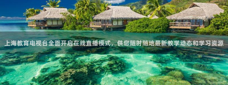 五星体育频道在线观看：上海教育电视台全面开启在线直播模式，供您随时随地最新教学动态和学习资源