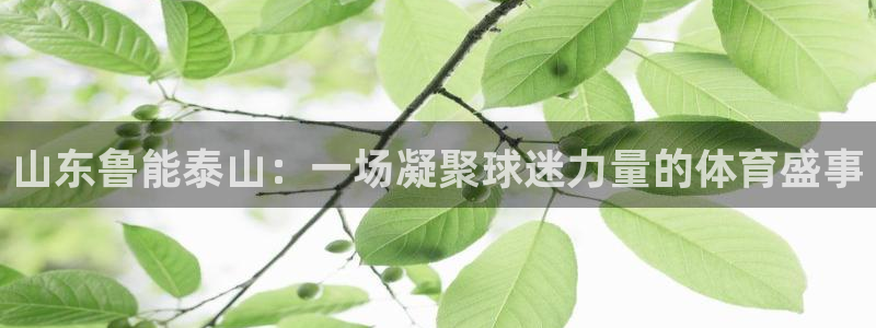 f1直播五星体育在线观看：山东鲁能泰山：一场凝聚球迷力量的体育盛事